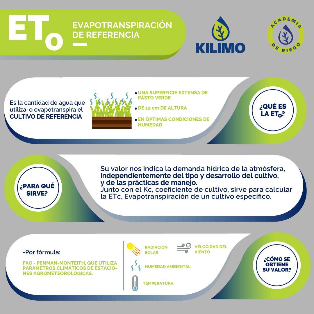 Pasos Para Calcular El Consumo De Agua De Los Cultivos